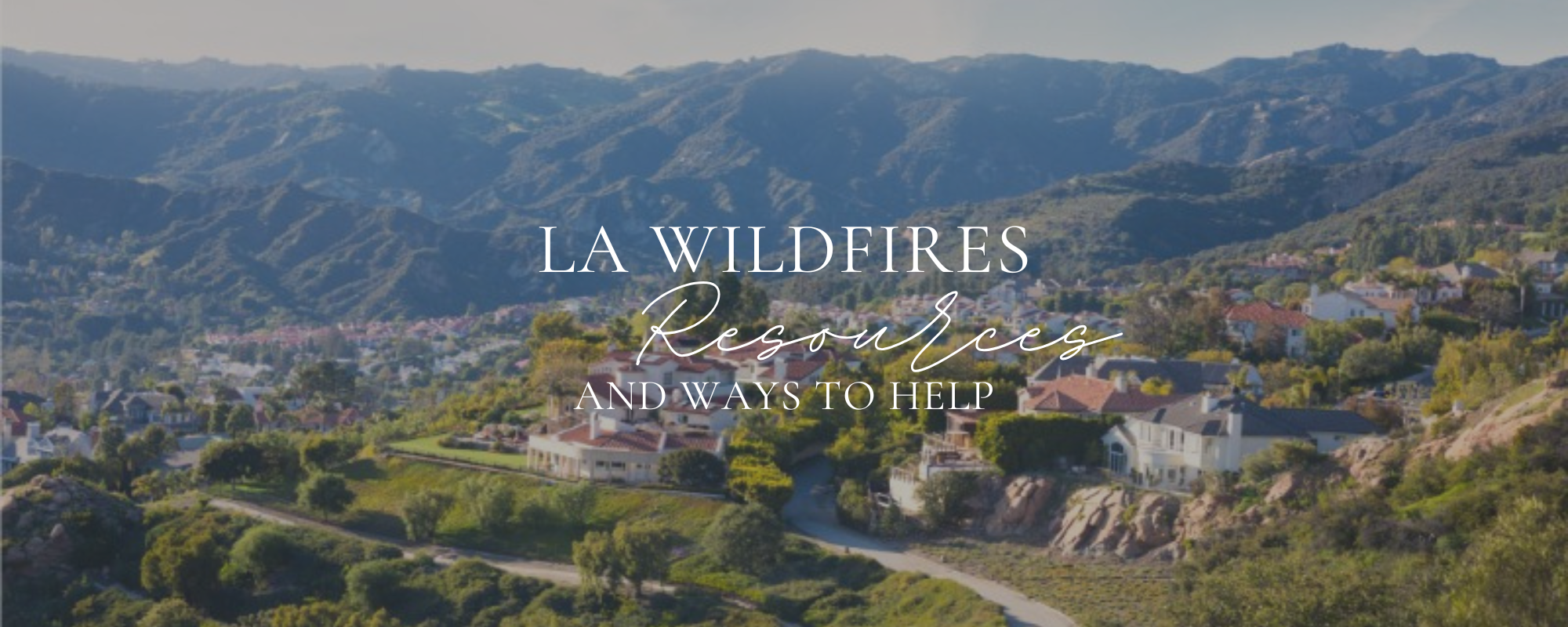 How to Help Those Impacted by the LA Wildfires