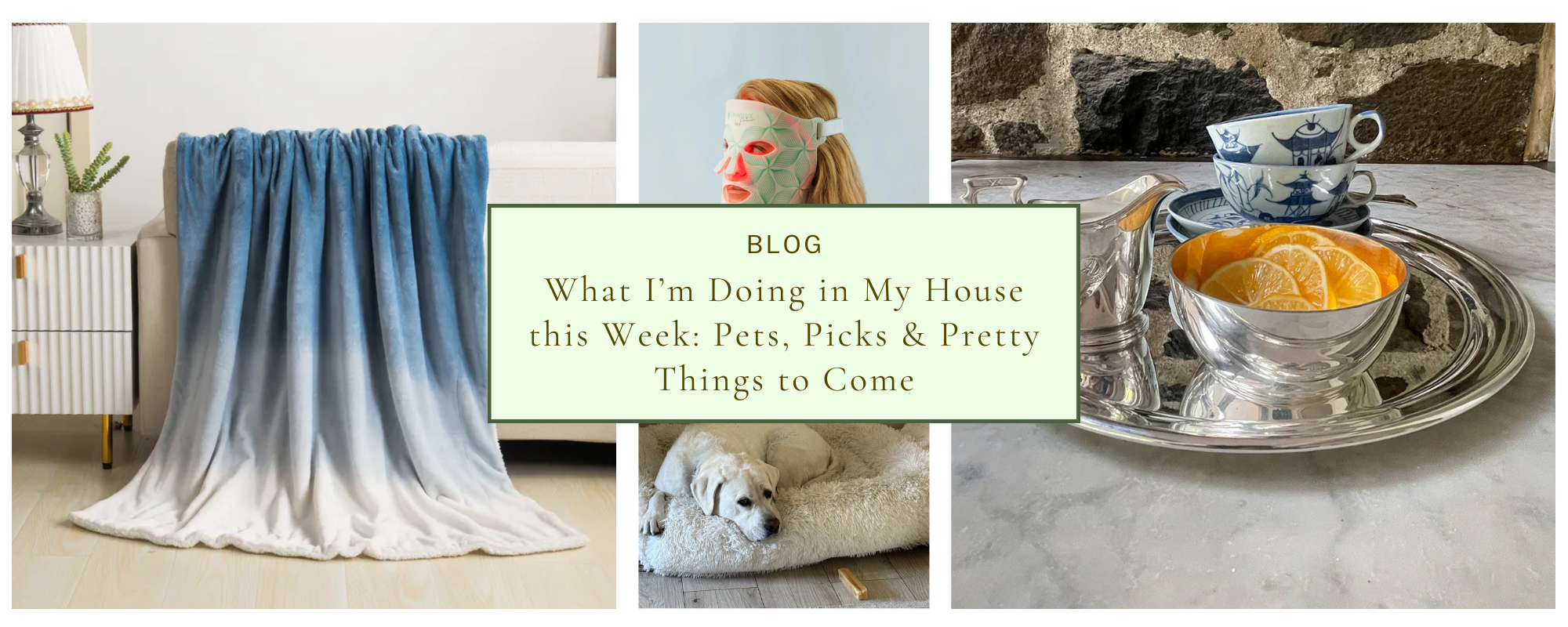 Happy Pets, Happy Home