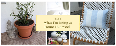 What I’m Doing at Home This Week