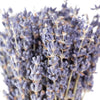 MINI French Lavender Bundle Florals/Branches/Greenery Andaluca   