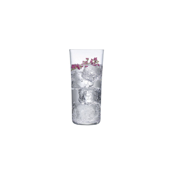 Savage Highball Glasses - Set of 4