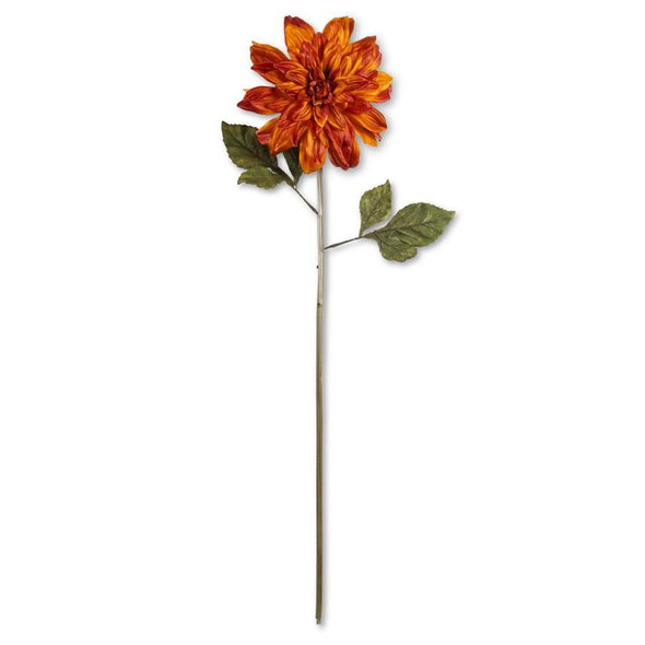 Orange Dahlia Stem