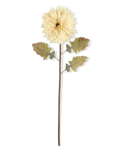 Cream Gerbera Daisy Stem