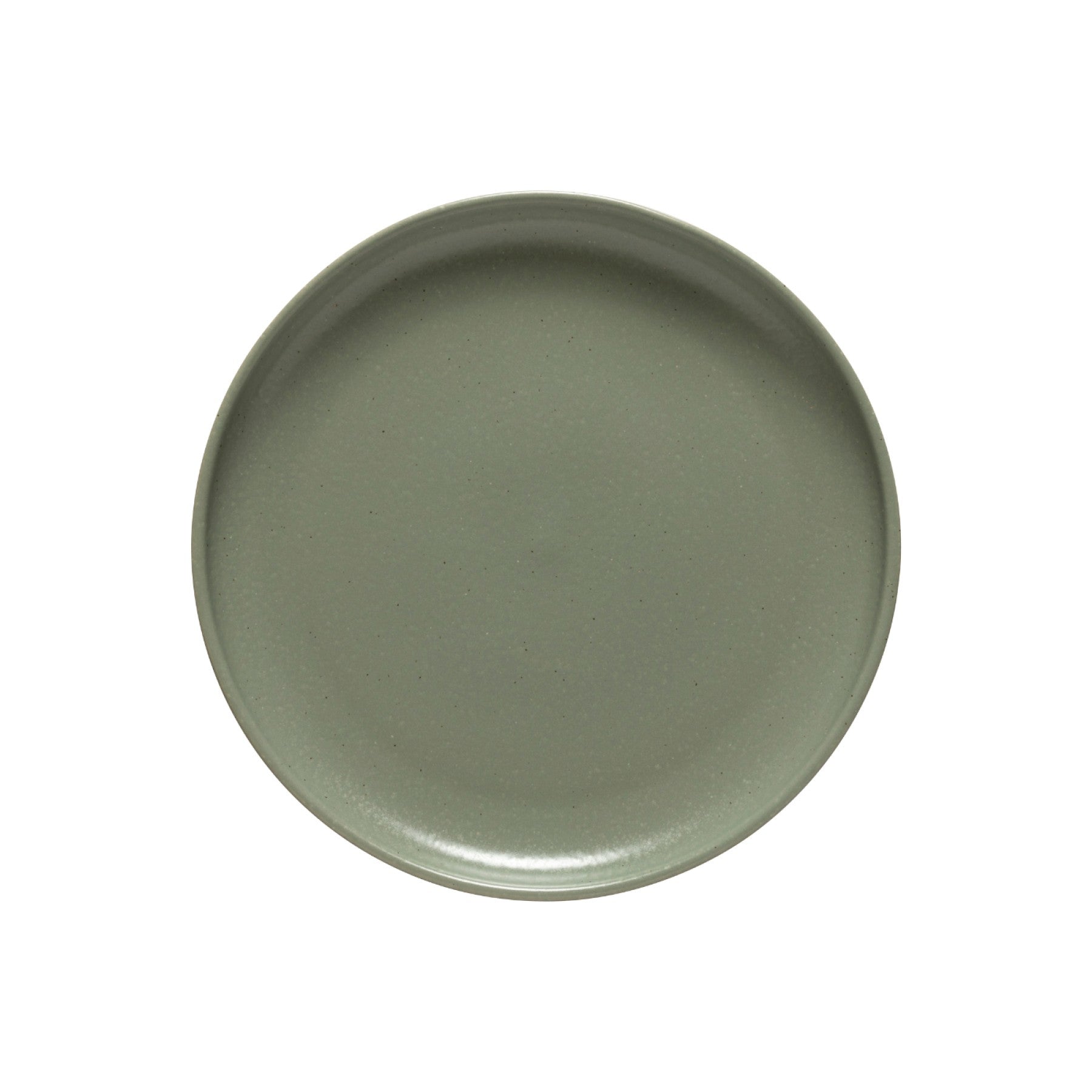 Pacifica Dinner Plate Tabletop Casafina   