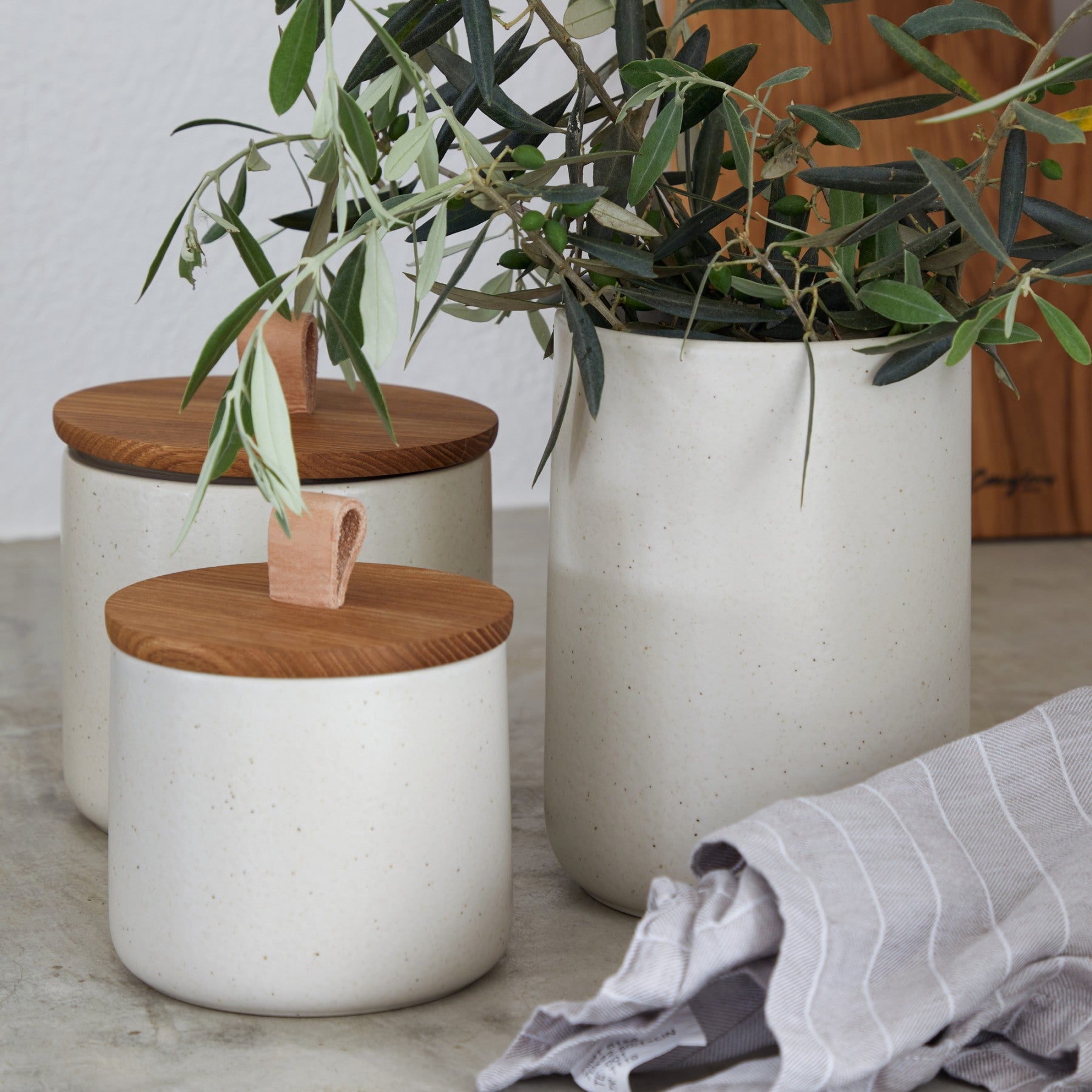 Pacifica Canisters with Oak Lid Tabletop Casafina   