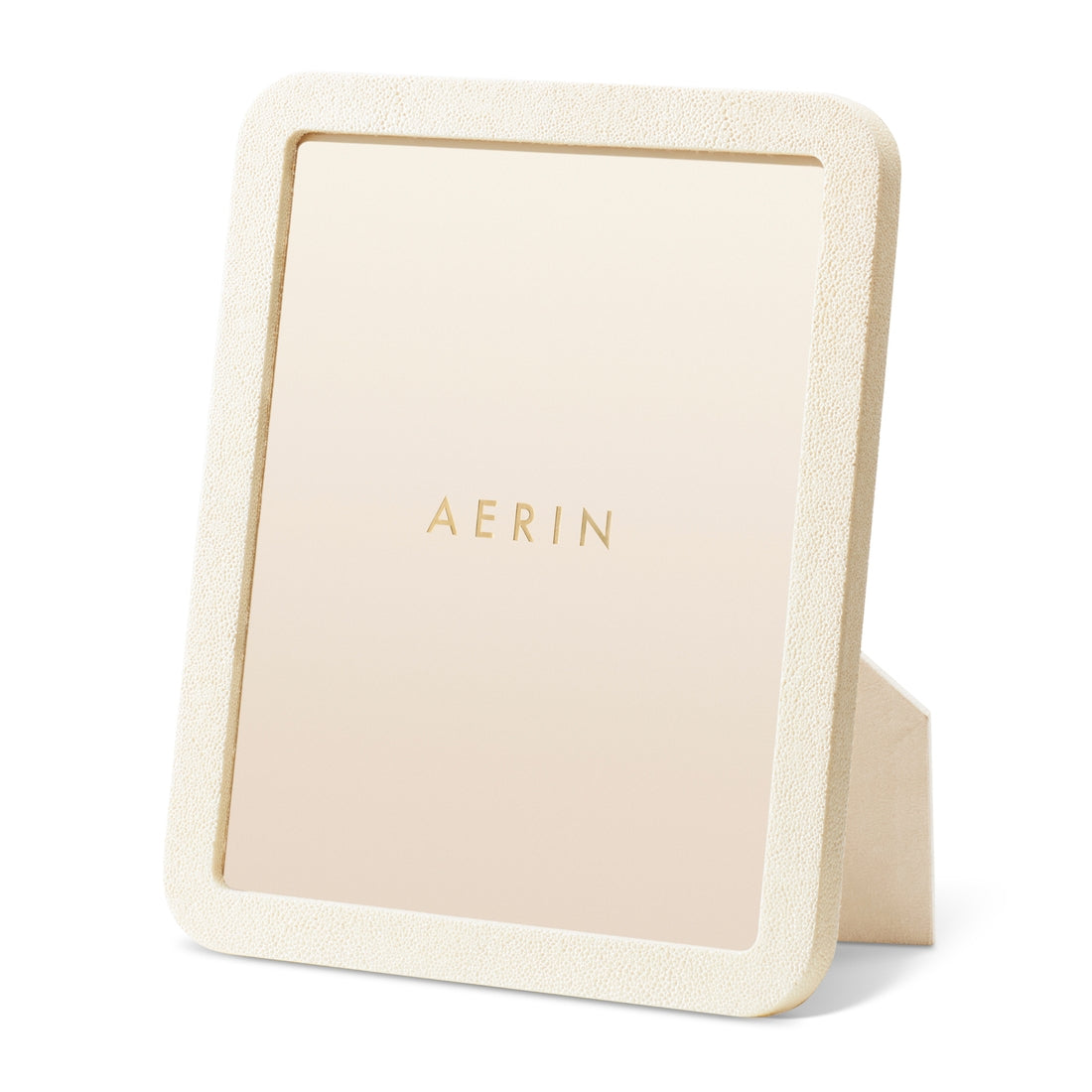 Modern Shagreen Frame