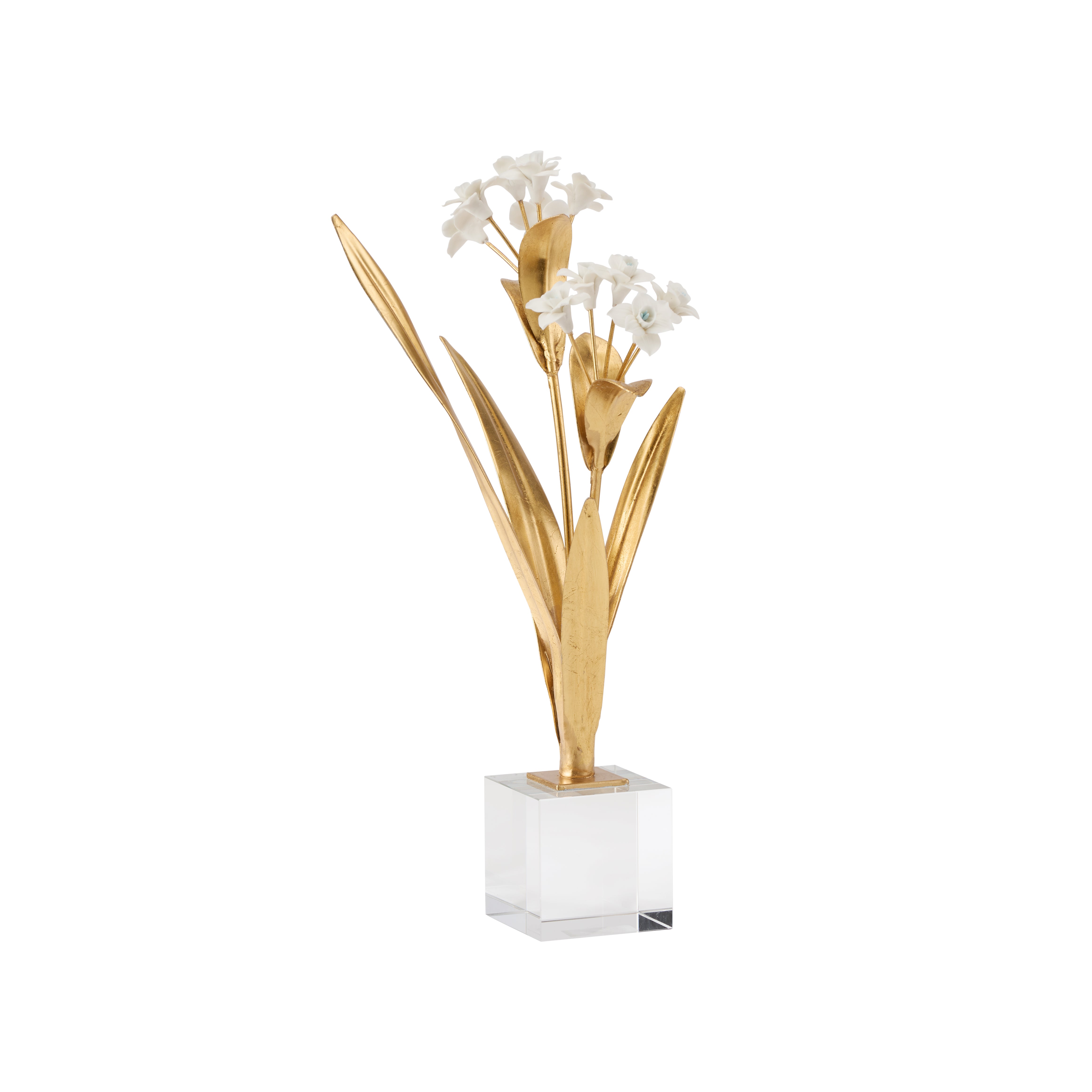 Paperwhite Porcelain Narcissus