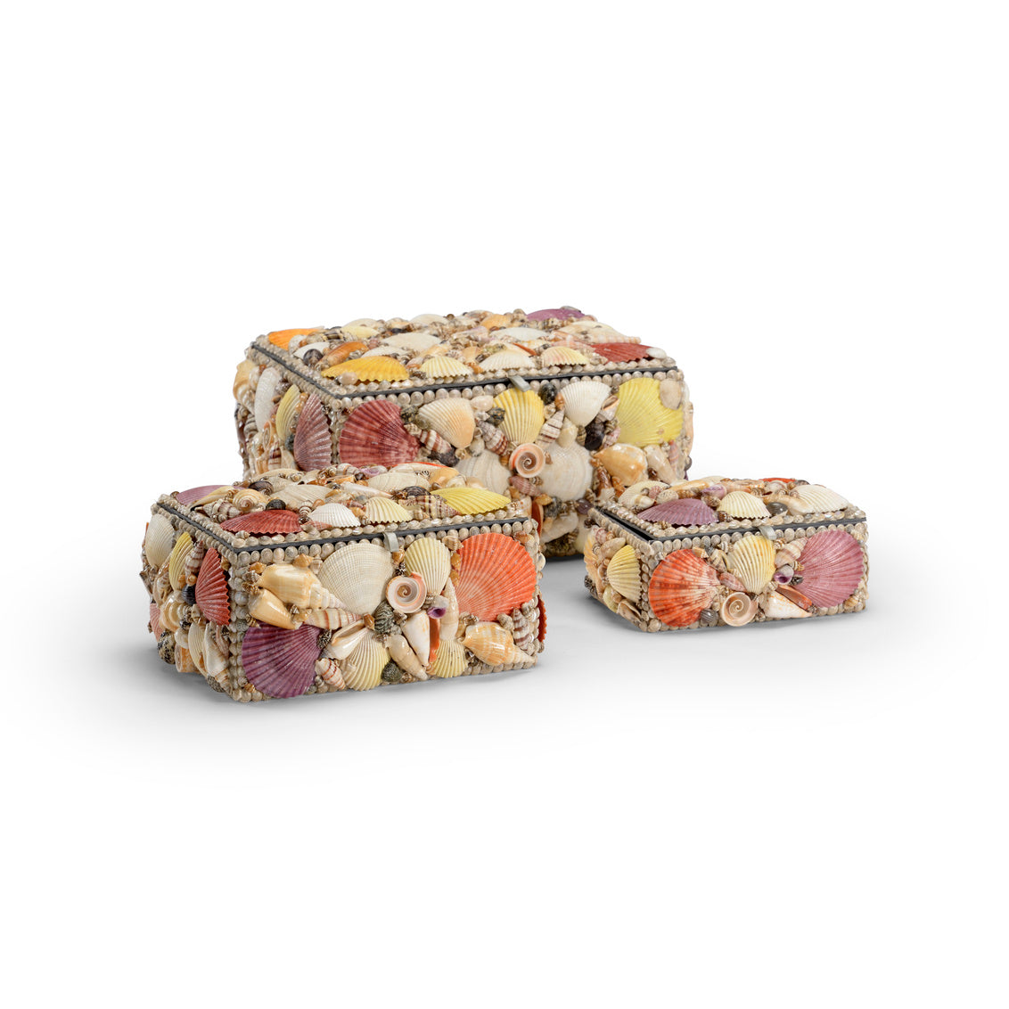 Colorful Shell Boxes (Set of 3)
