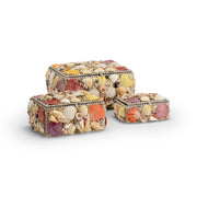 Colorful Shell Boxes (Set of 3)