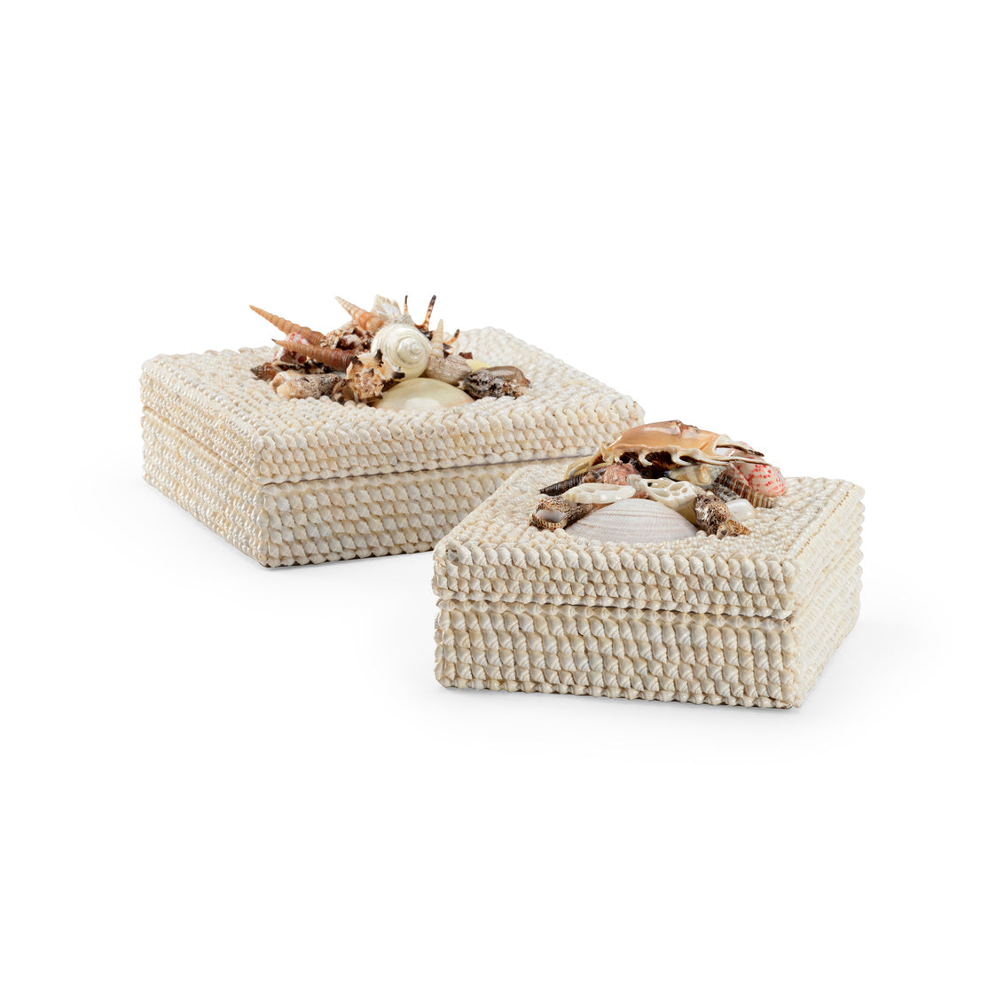 White Shell Boxes (Set of 2)