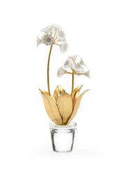 Auricula in Crystal Vase