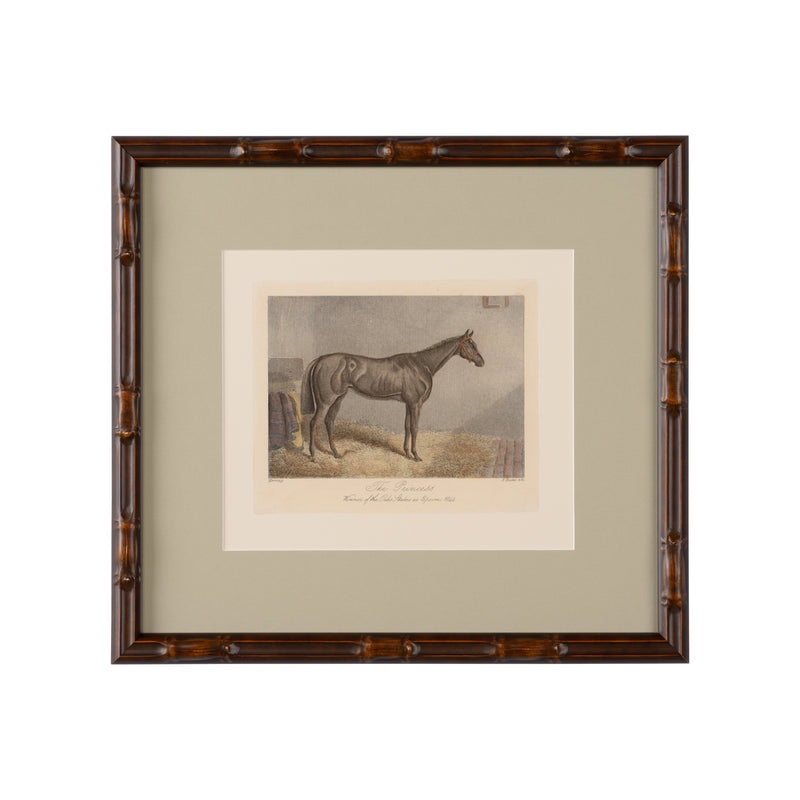 The Princess