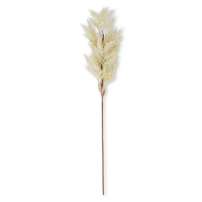 Cream Sorghum Grass Stem