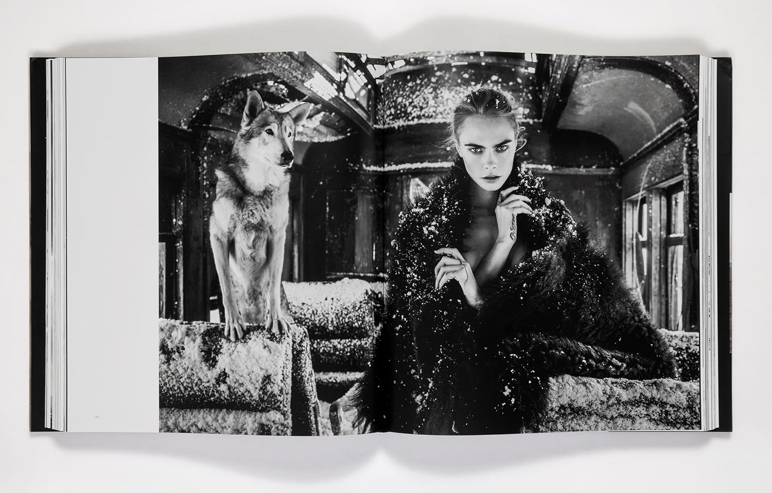 David Yarrow: The Collection