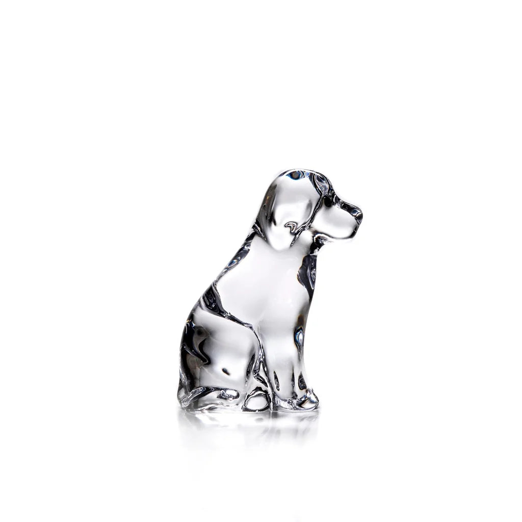Glass Dog