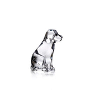 Glass Dog