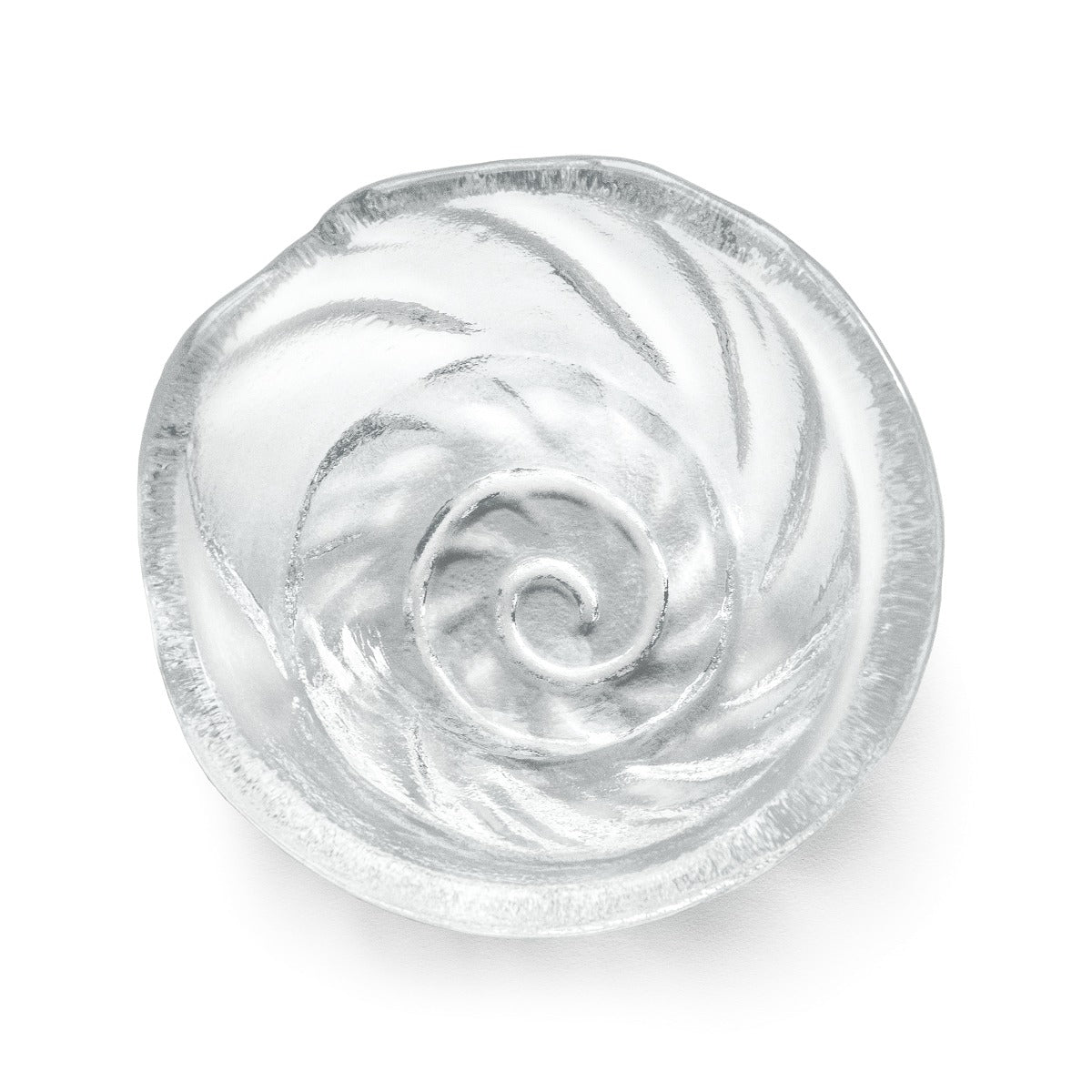 Shell Bowl