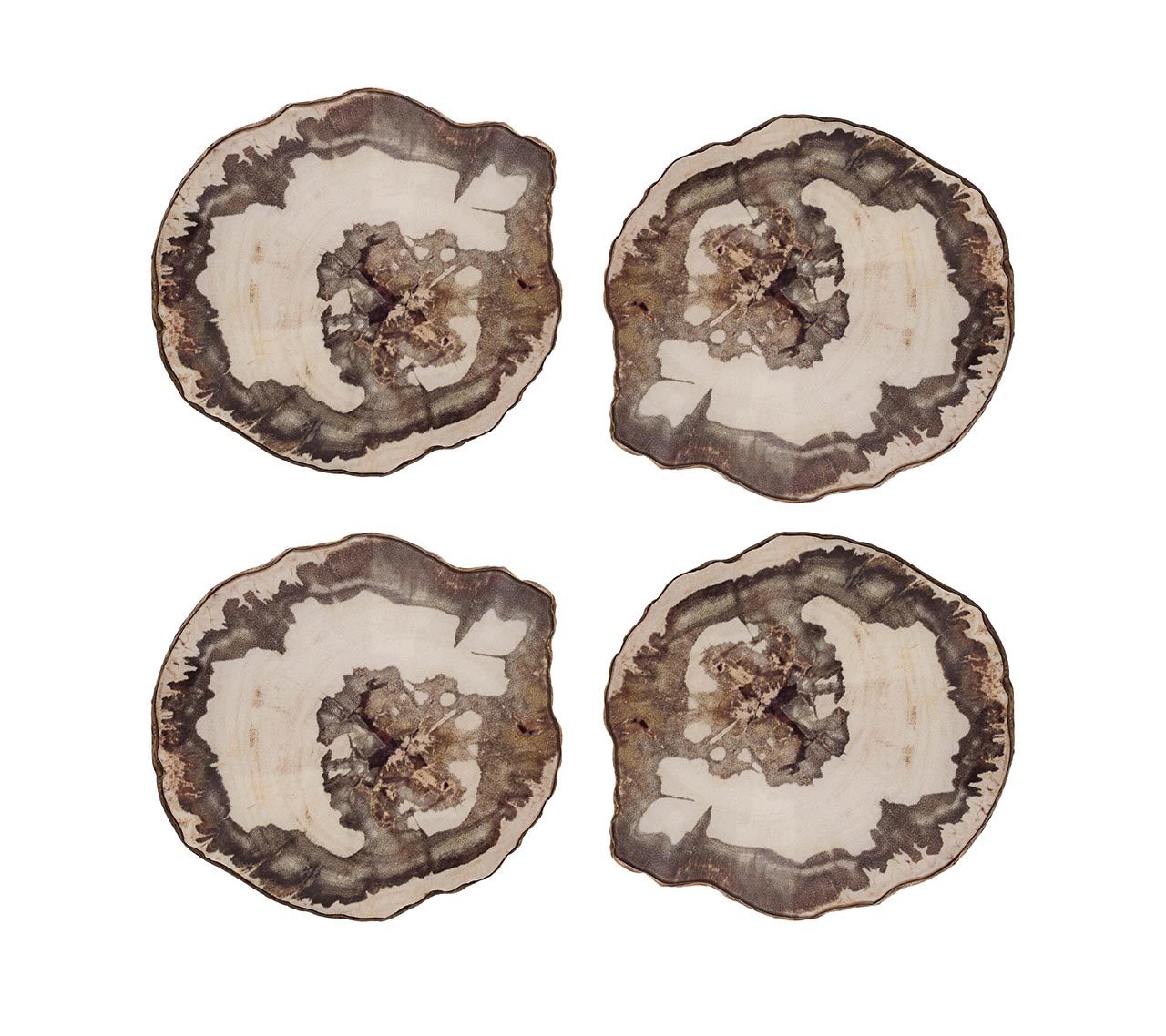Petrified Wood Drink Coasters