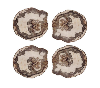 Petrified Wood Drink Coasters