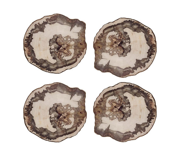 Petrified Wood Drink Coasters