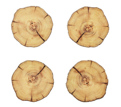 Woodland Drink Coasters