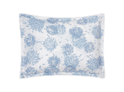 Chrysanthemum Sham