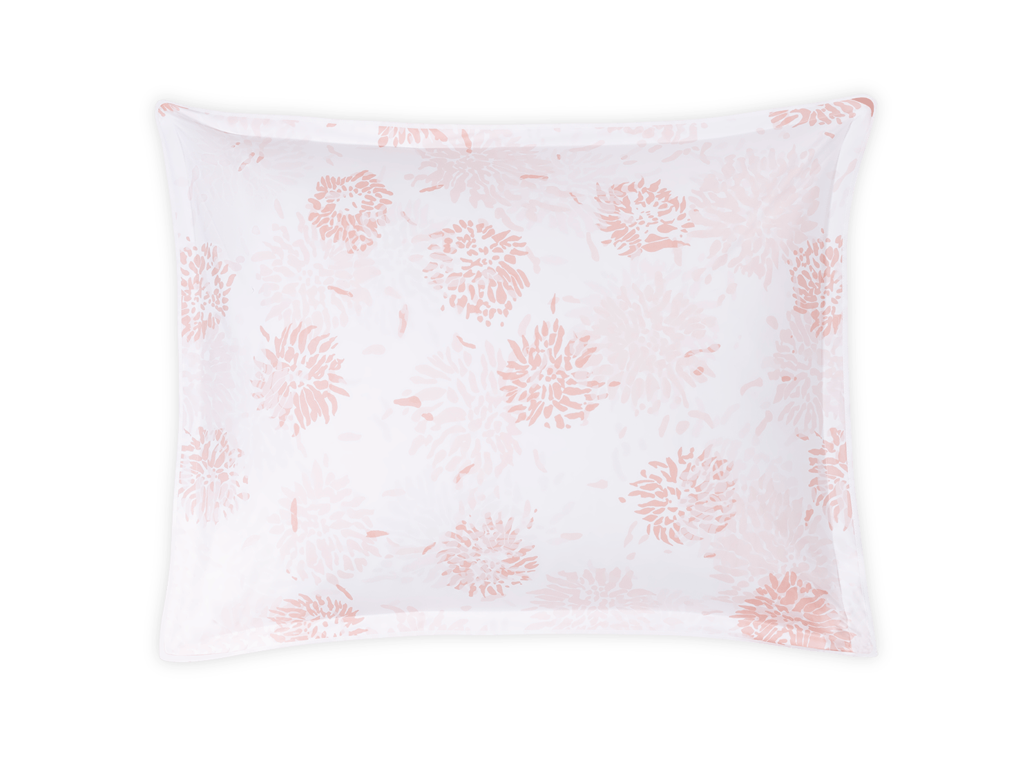 Chrysanthemum Sham