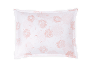 Chrysanthemum Sham
