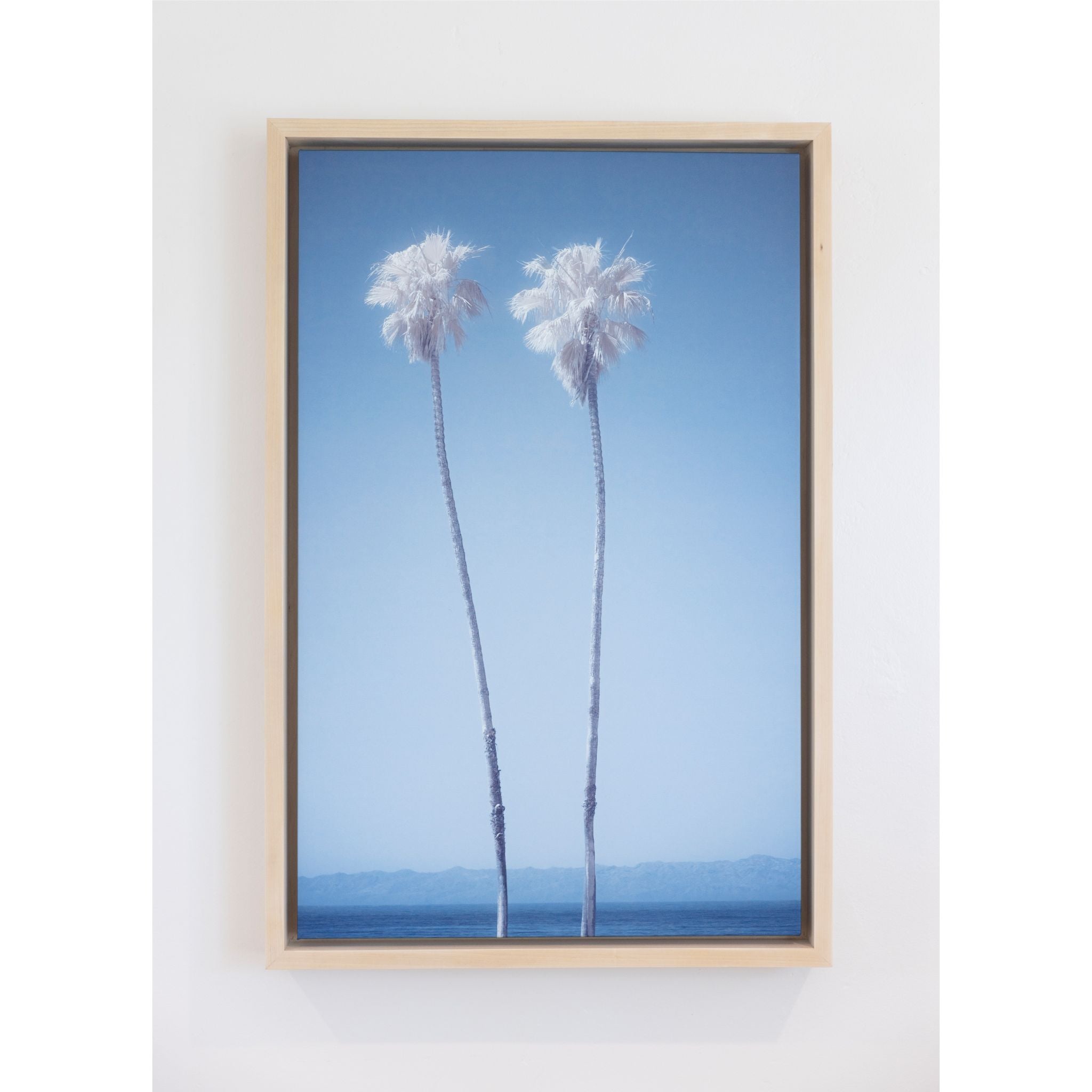 Gilded Palms by Will Pierce