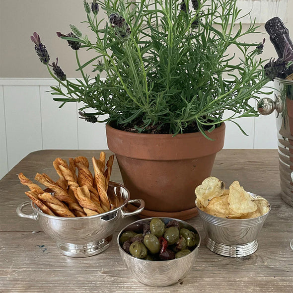 Hotel Silver Low Pedestal Bowl with Handles