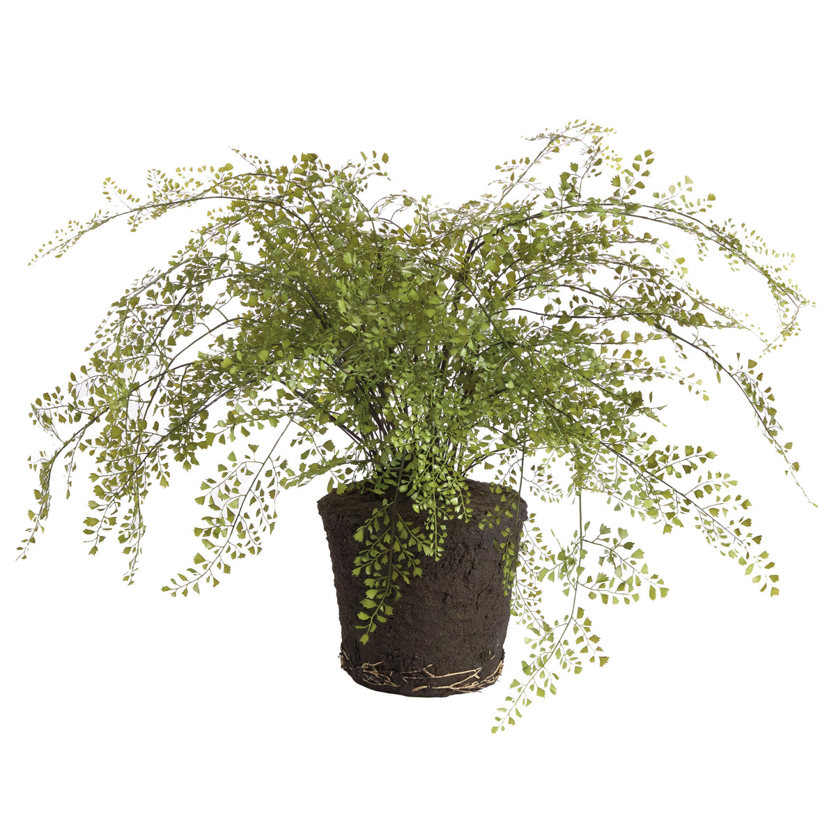 Maidenhair Drop-In