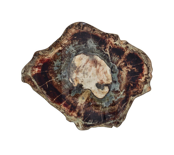 Fossil Placemat in Brown & Multi - Kim Seybert, Inc.