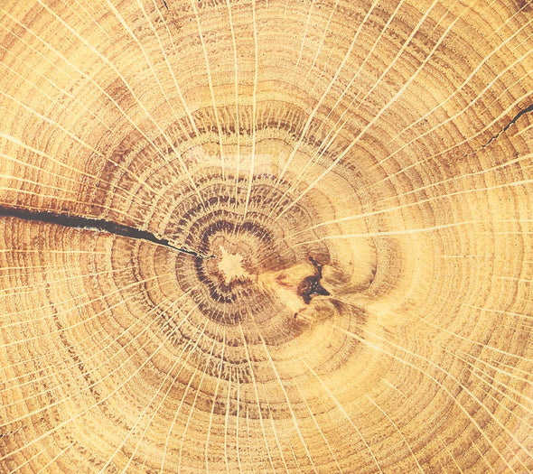 Woodland Placemat