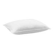 Bouidoir Pillow