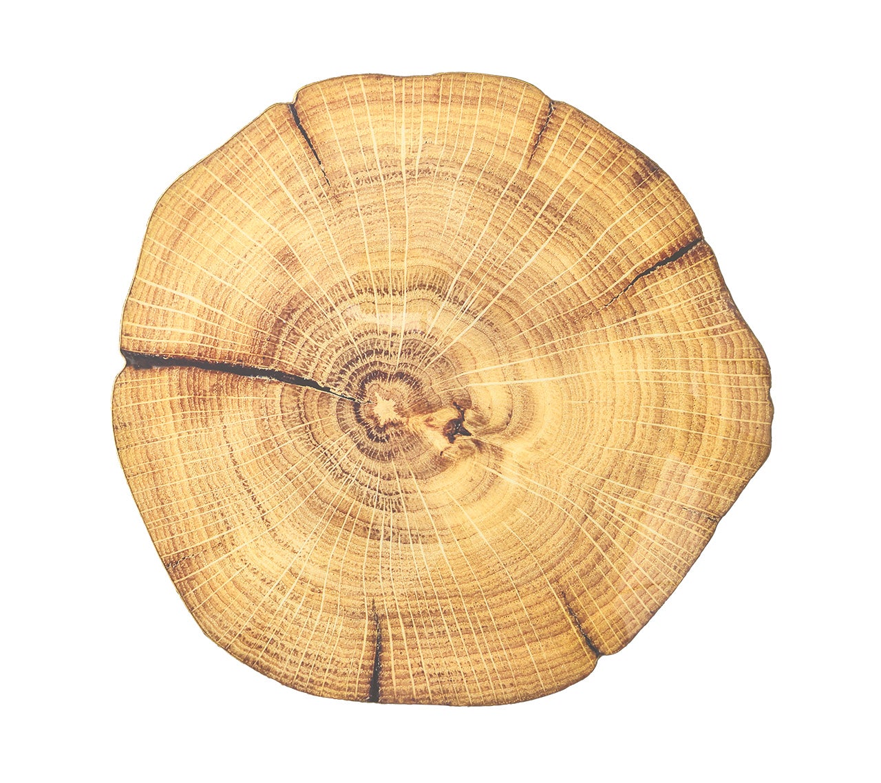 Woodland Placemat