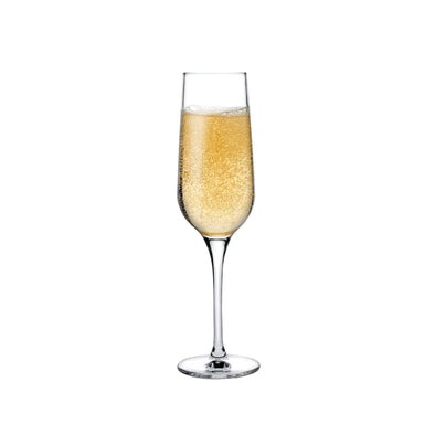 Refine Champagne Glasses - Set of 2