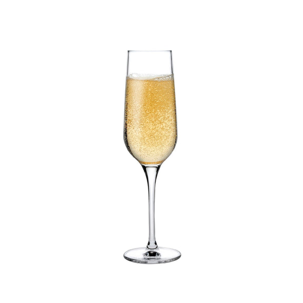 Refine Champagne Glasses - Set of 2