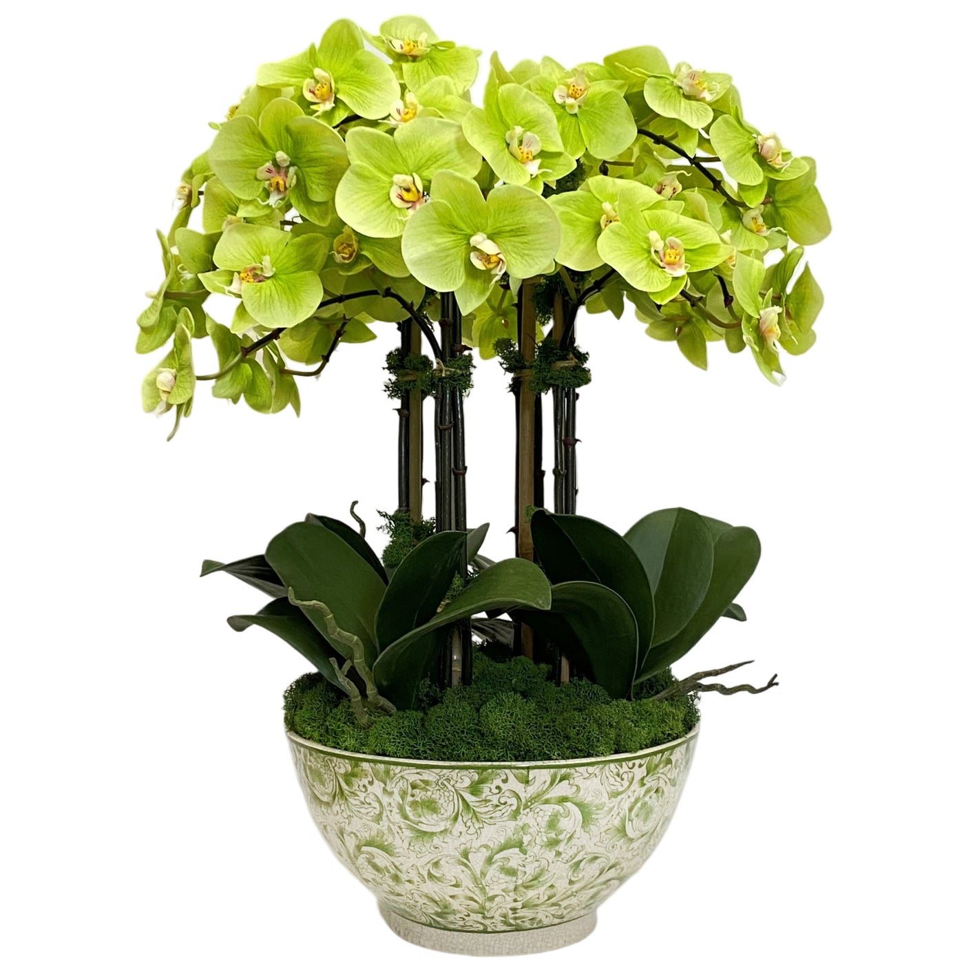 Orchid in Bowl