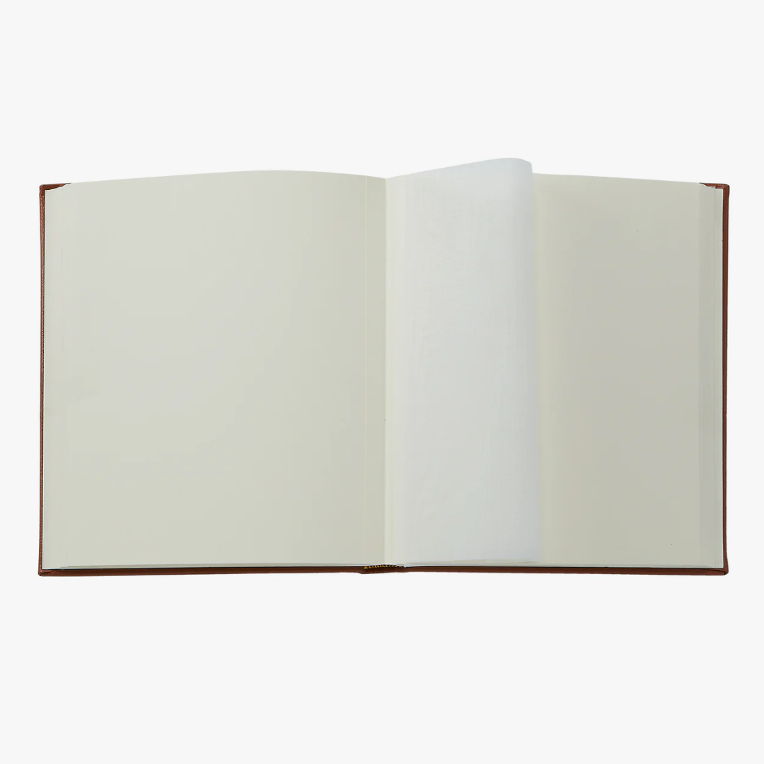 Medium Bound Album
