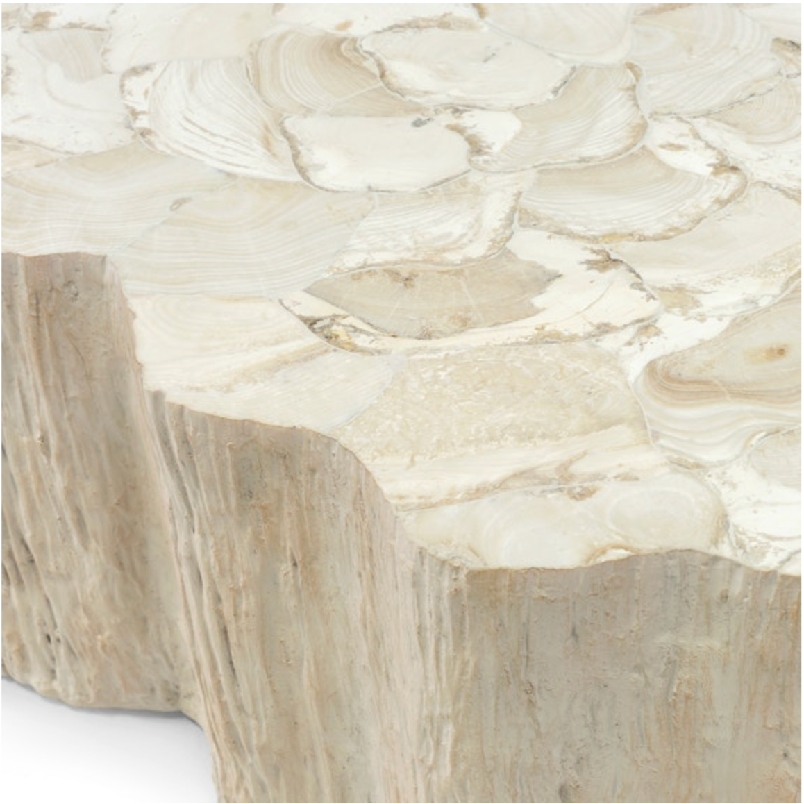 Camilla Fossilized Clam Coffee Table