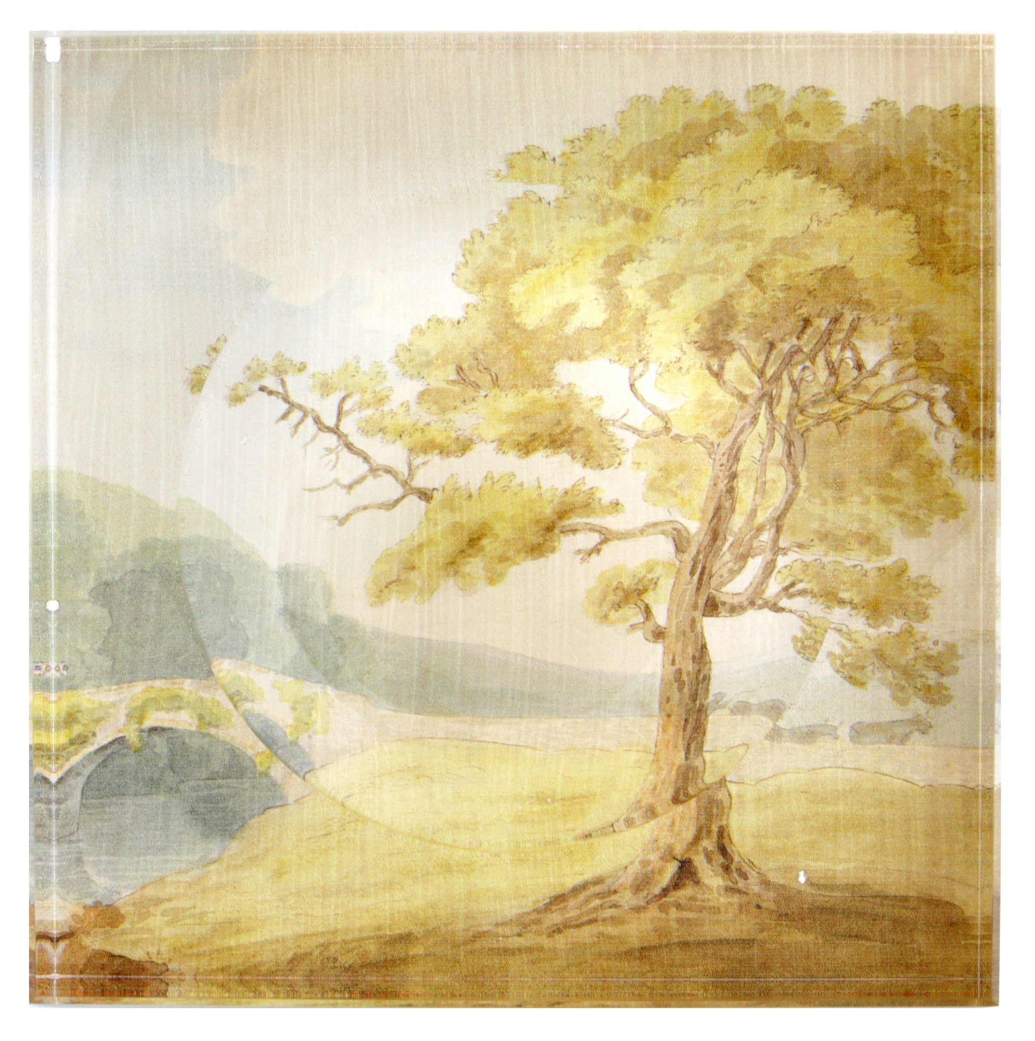 Savery Tree Trinket Bowl