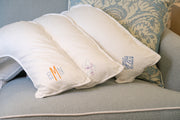 Jetsetter Pillow