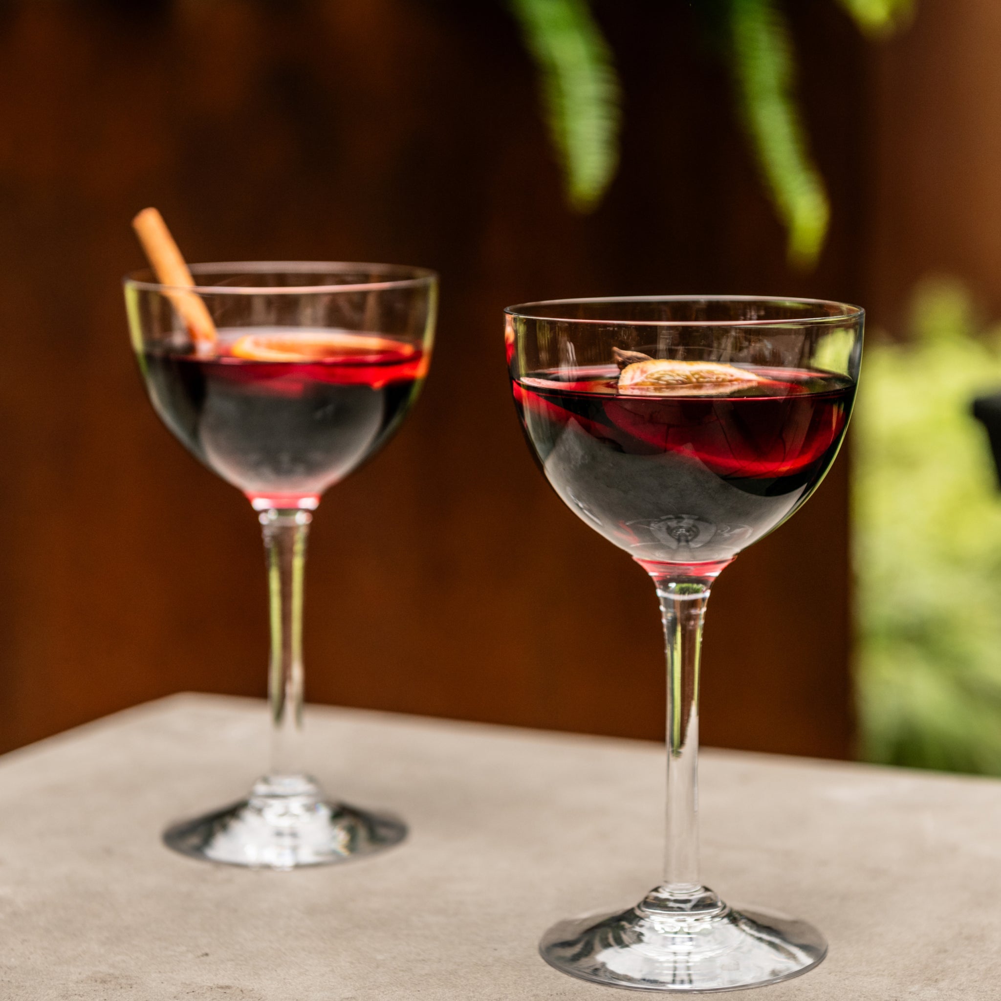 Vintner Nick & Nora Glass Set of Two