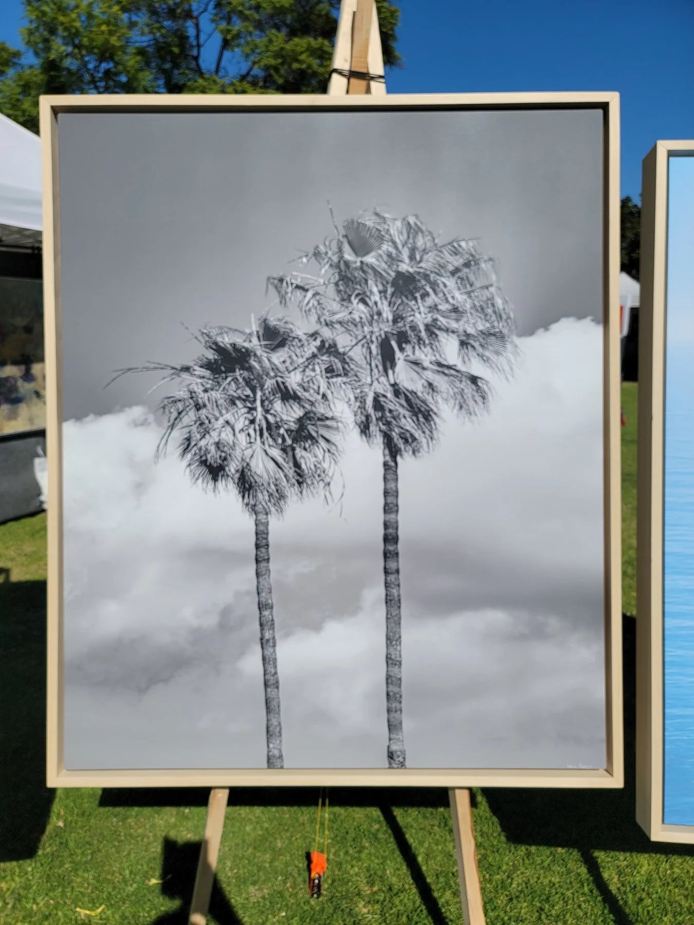 Cloudy Palms