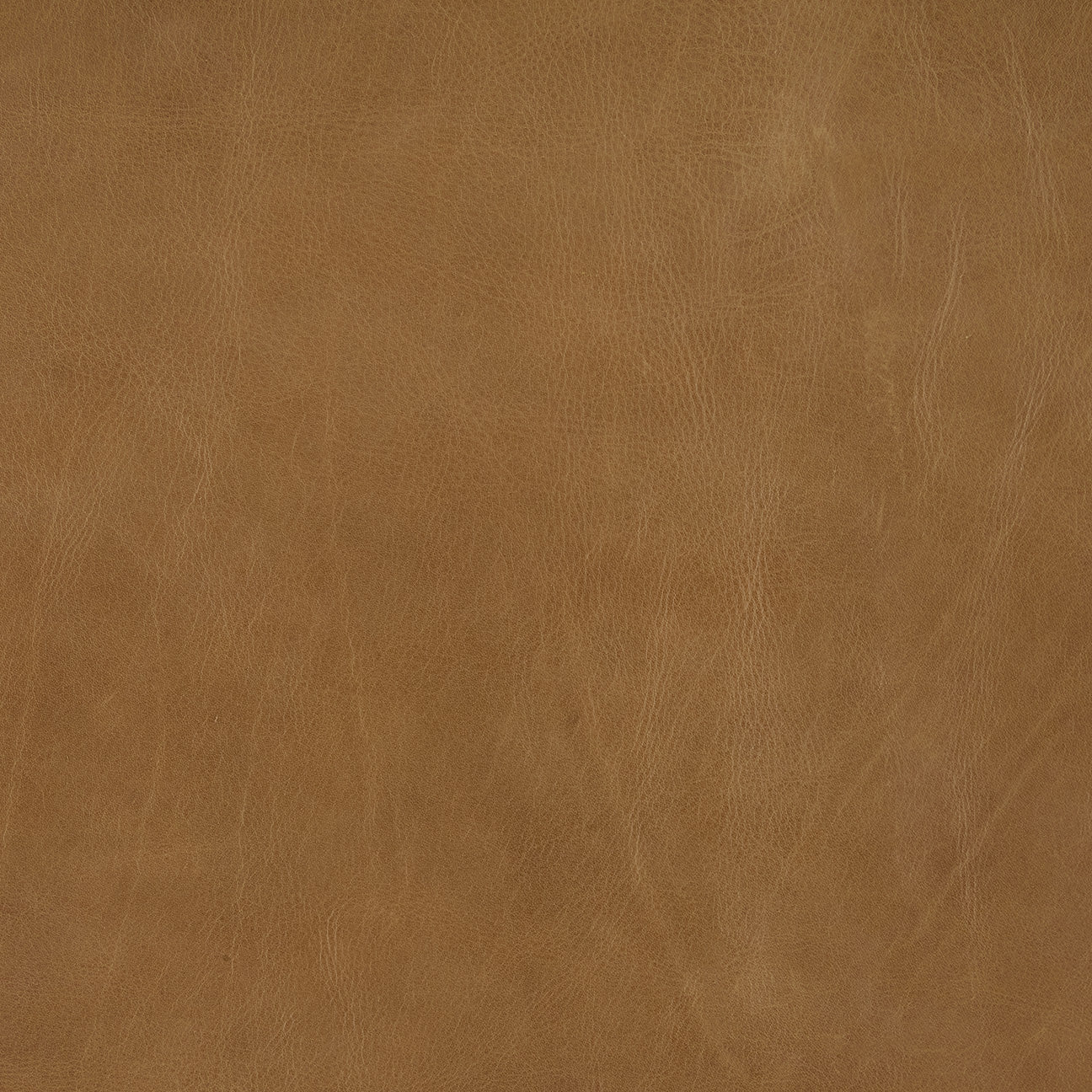 Zuma Leather Relaxor