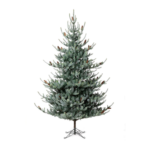 Park Hill Blue Spruce Christmas Tree