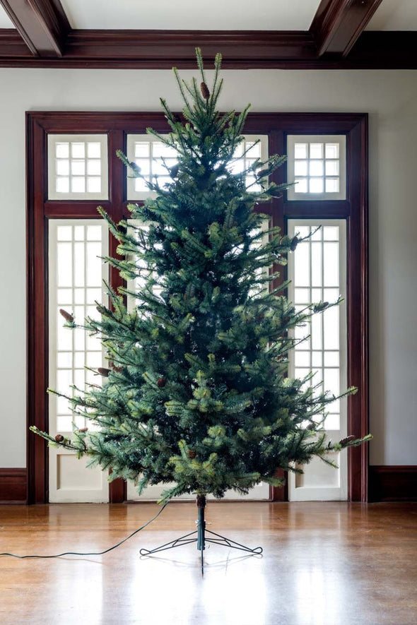 Park Hill Blue Spruce Christmas Tree