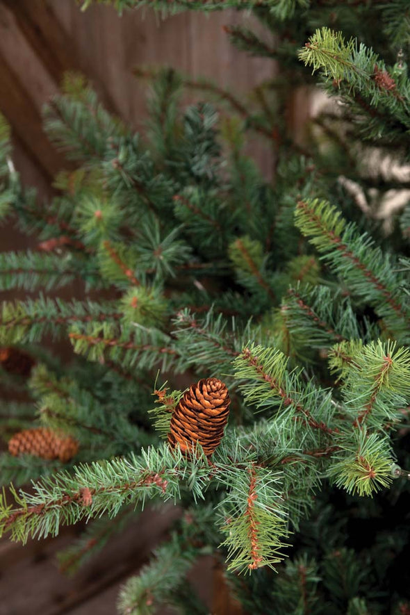 Park Hill Blue Spruce Christmas Tree