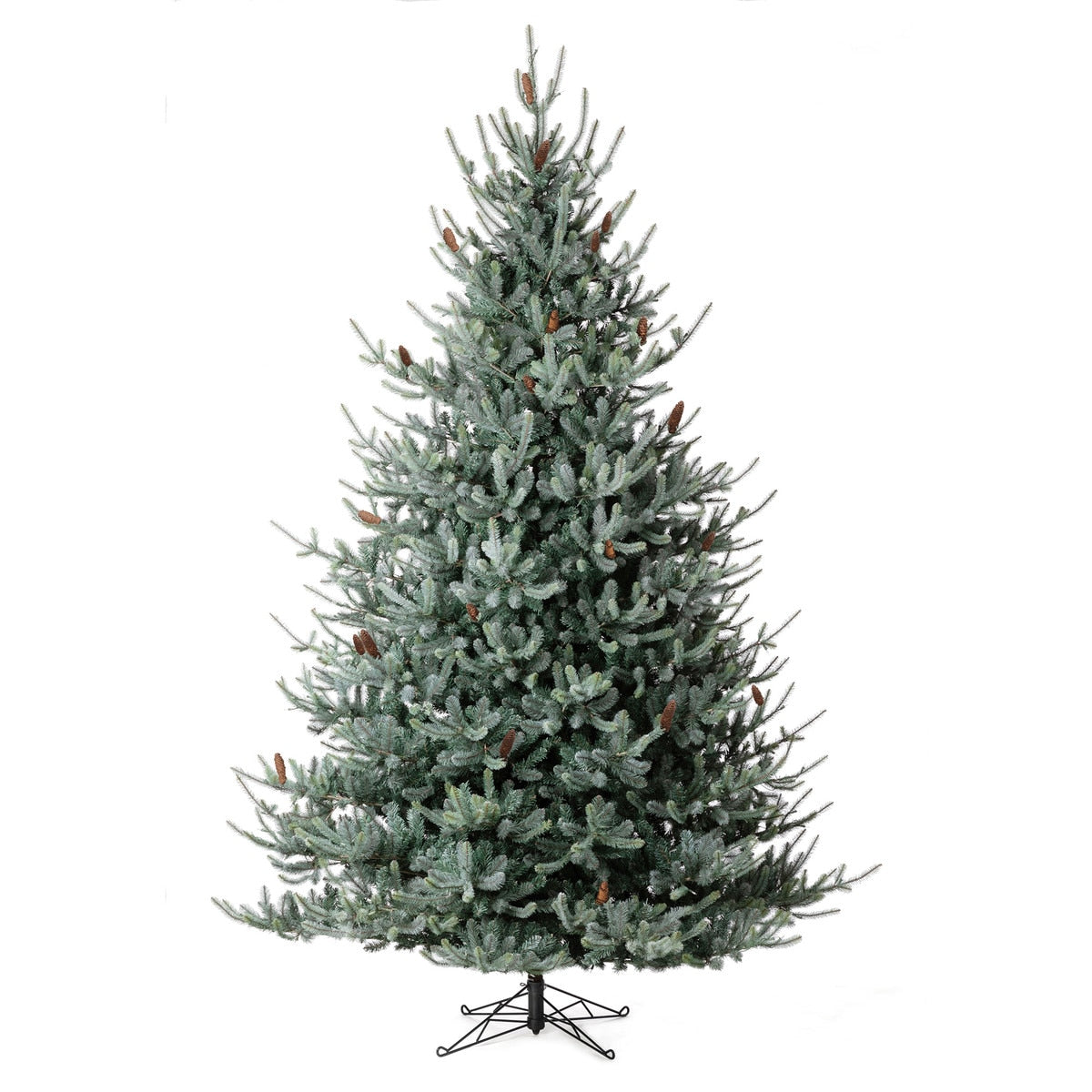 Blue Spruce Christmas Tree