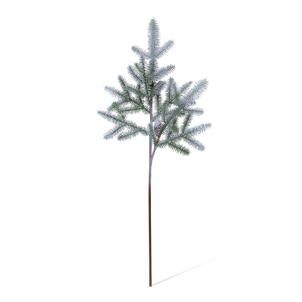 Frosted Balsam Fir Branch